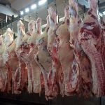 Chicago: suman ganancias para el precio de la soja
