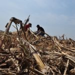 Agro Show Copronar apunta a la diversificación agrícola