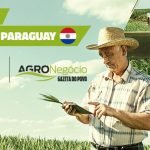 Brasil inicia siembra comercial de caña de azúcar GM