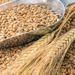 Caída de la cotización de commodities en Chicago
