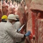 Al cierre de abril se enviaron 625 000 toneladas menos de soja