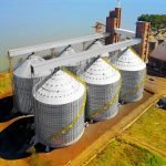Rusia y Chile concentran las exportaciones de carne