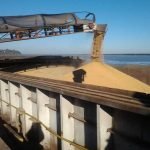 Destete precoz para elevar eficiencia productiva y reproductiva