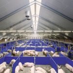 BPA: clave para mejorar la producción de alimentos