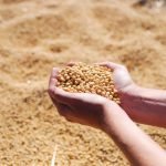 Nueva suba de la cotización de la hacienda local