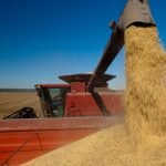 Apertura de EE.UU. sería clave para exportar carne al Nafta