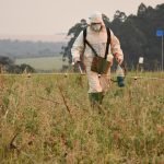 Avanza proceso para la apertura del mercado nipón a la carne paraguaya