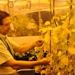Inauguran centro de acopio temporal de envases vacíos en Hernandarias