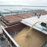 Brasil suspende vacunación antiaftosa en Paraná