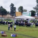 Superficie sembrada de soja zafriña 2021 se redujo 76%