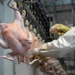 Temor por ataques rusos a Ucrania impulsa los precios del maíz y el trigo