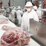 Más de un millón de bovinos faenados hasta junio