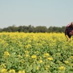 Envíos de subproductos comestibles generaron 20% más de ingresos