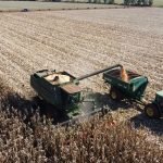 Sector ganadero propone estrategias para incentivar inversiones