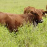 Soluciones para el agro llegan de la mano de Agrotec