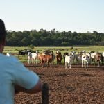Necesidad de Argentina se refleja en las exportaciones de soja paraguaya