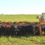 Agricultura sustentable en América Latina fue tema de debate en cumbre mundial