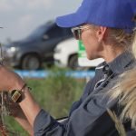 Área de arroz puede crecer hasta cuatro veces más