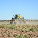 Creciente demanda global de carne abre oportunidad para Paraguay, pero exige más eficiencia