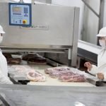Prevalencia de brucelosis bovina se redujo 50 %