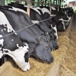 Innovadora herramienta se suma para el tratamiento de semillas