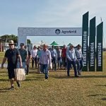 La sequía y su secuela: Paraguay exportó 4 millones de toneladas menos de soja