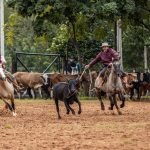 Empresario prevé mejores condiciones de navegación