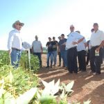 Contrabando y sequía impactaron en la producción de pollos en 2022