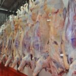 Envíos de carne bovina generaron USD 21 millones más hasta agosto