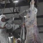 Caída de los envíos de carne persiste al cierre de octubre