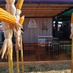 Menor oferta sigue impulsando el precio del novillo en Paraguay