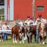 Más de 71 mil toneladas de carne exportó Paraguay en el primer trimestre