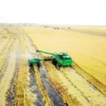 Innovación y conocimiento acompañan el desarrollo agrícola en el sur