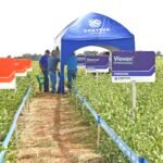 Primer Congreso Internacional de Nutrición Bovina se realizará en junio