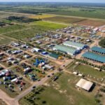 Integración agrícola-ganadera en el Chaco será foco en +Maíz