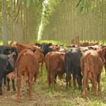 Fortalecerán el uso del sistema satelital de datos en la agricultura