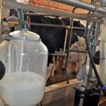 «En 20 años nunca tuvimos una zafra de arroz tan desafiante»
