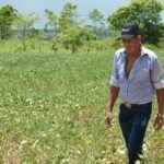 Agricultura sustentable en América Latina fue tema de debate en cumbre mundial
