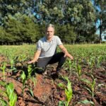 Desafíos y perspectivas en el control químico de enfermedades en soja