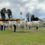 Envíos de arroz generaron USD 70 millones más de divisas hasta junio