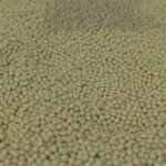 INBIOTEC apunta a desarrollar mejoramiento en soja y a formar profesionales