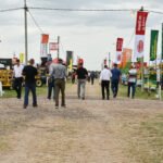 Microorganismos adaptados pueden mejorar la tolerancia del maíz a suelos salinos