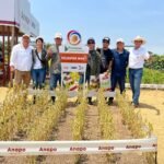 A setiembre Paraguay ya exportó casi 130 000 toneladas más de arroz