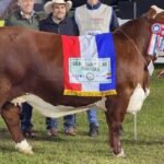 Chaco: En Cotton Day lanzarán competencia de productividad de soja