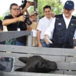 Carne porcina paraguaya consigue ingresar a Taiwán con arancel 0
