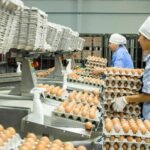 Punto de equilibrio en soja de un productor tecnificado está en 2000 kg/ha