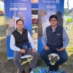 El nelore moderno puede ser una gran herramienta para la ganadería chaqueña