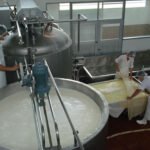 Consorcio de producción apunta a desarrollar 30 mil hectáreas de arroz en Ñeembucú