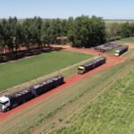 Choré acumula cuarta zafra consecutiva de rindes bajos