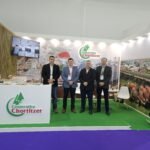 Divisas y envíos de algodón en enero cayeron 90%